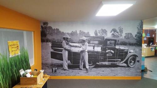 ARATAKI-HONEY-VISITOR-CENTRE-WALL-DECAL-WITH-CUPBOARDS