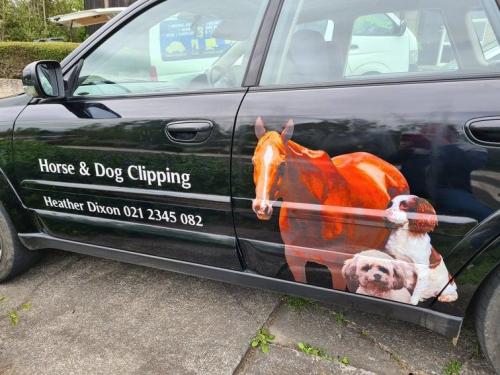 HORSE-AND-DOG-CLIPPING