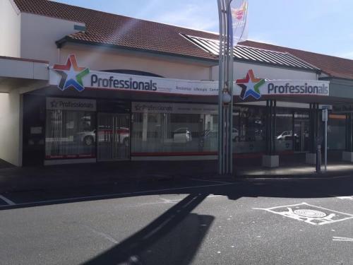 PROFESSIONALS-HASTINGS-2