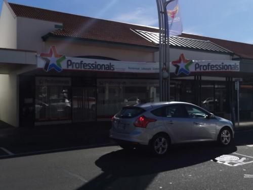 PROFESSIONALS-HASTINGS